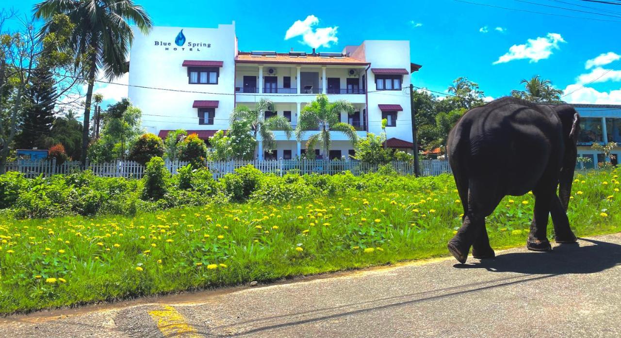 Blue Spring Hotel 와두와 외부 사진